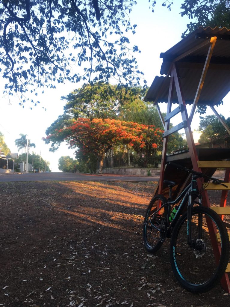 bicicleta azul em uma pracinha